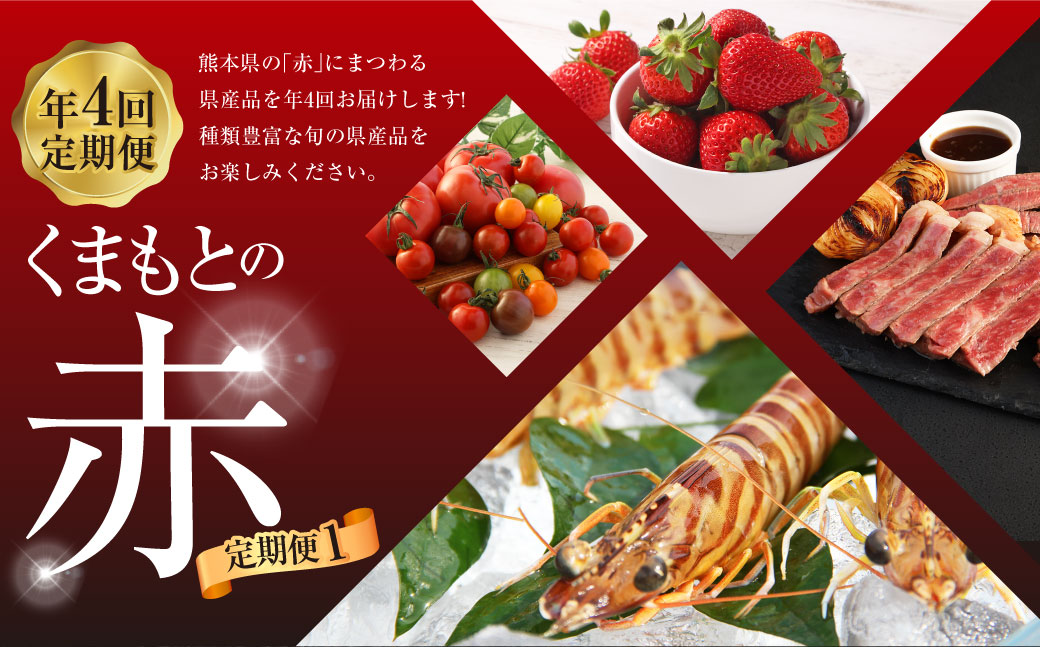 【年4回定期便】「くまもとの赤」定期便① いちご （ゆうべに） ミニトマト （千果・カラフル2種）＋ 桃太郎トマト くまもとあか牛 クルマエビ 5種 フルーツくだもの 果物 苺 やさい 野菜 トマト 