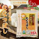 【ふるさと納税】特別栽培米 ななつぼし 5kg×2 定期便 毎月1回・計12回お届け