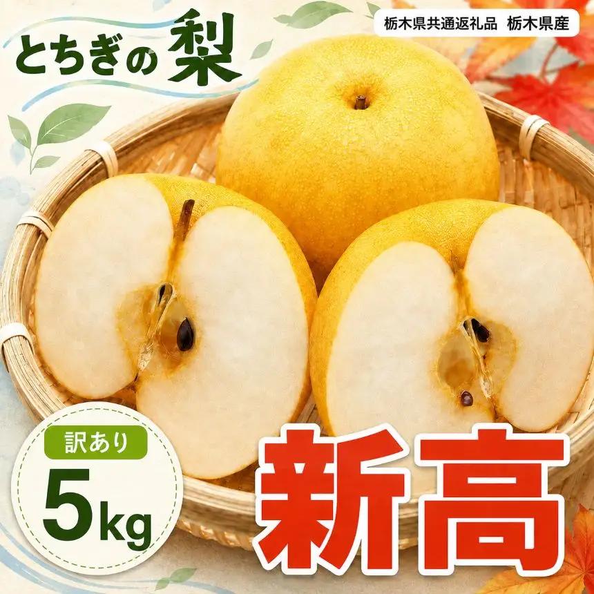 梨 新高 訳あり品 5kg 【栃木県共通返礼品】栃木県産
