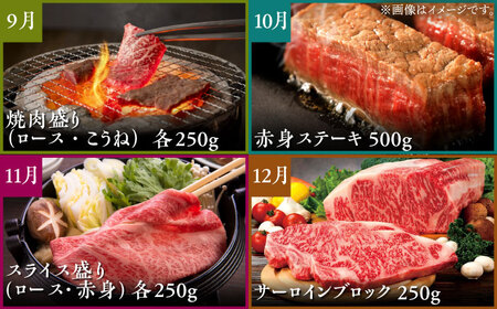 【全12回定期便】佐賀牛 プレミアムコース（2人前） 【がばいフーズ】[HCS122]