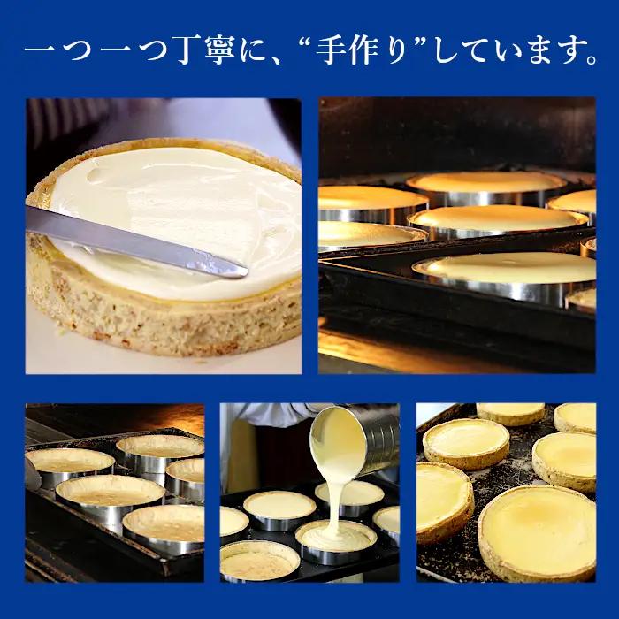 さくさくクッキー生地で大人気！濃厚だけどさっぱり ヨーグルトフロマージュタルト 5号サイズ (約15cm) 