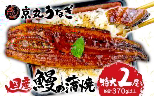 国産 うなぎ 蒲焼 特大 2尾 約 370 g 鰻 ギフト ボックス セット 老舗 専門店 うなぎ ウナギ 鰻 unagi 処京丸 静岡 沼津 土用 丑 の日 贈答 ギフト お中元 お歳暮 カット 川 特大 父の日 母の日 個別 包装 小分け 贈答用 人気 高級 静岡県
