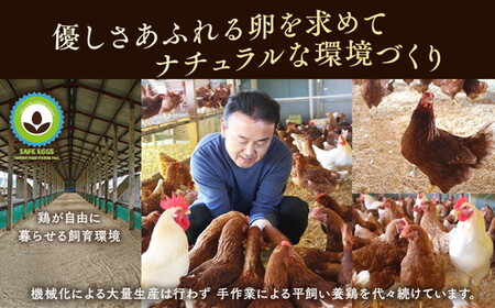 【6ヶ月定期便】平飼い有精卵 さがみっこ 30個（10個×3パック）｜たまご 平飼い 有精卵 かながわブランド認定