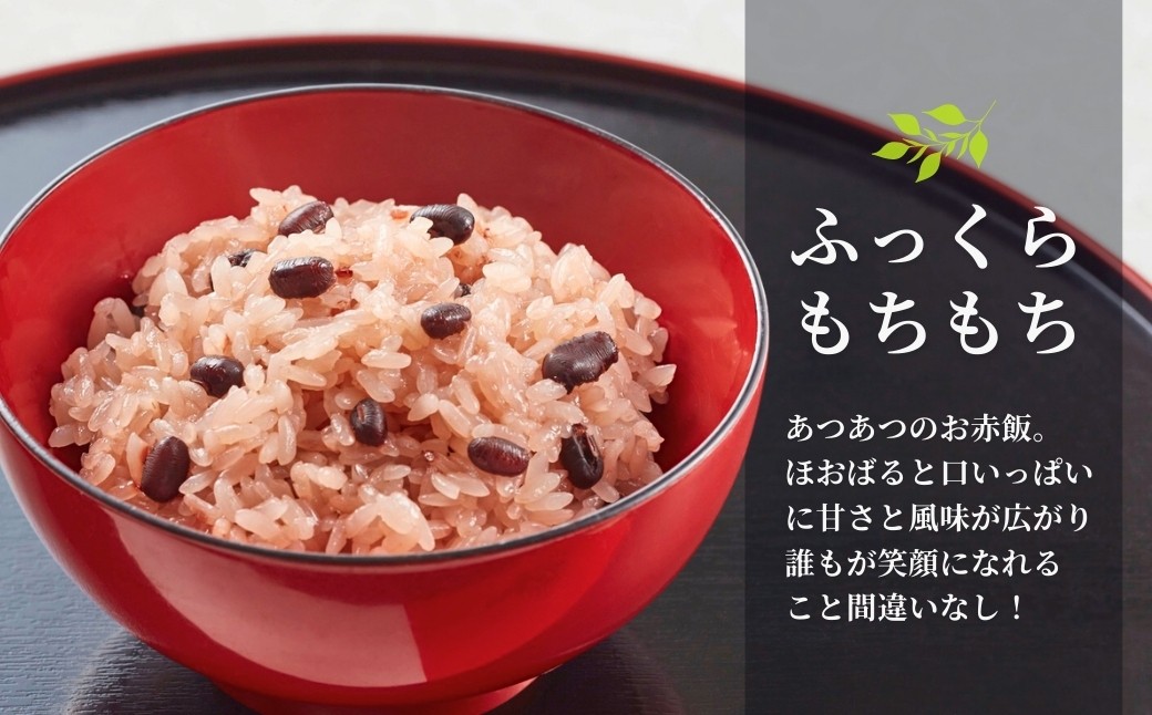 新潟産こがねもち100％使用　パックごはんとは思えないふっくらもちもち