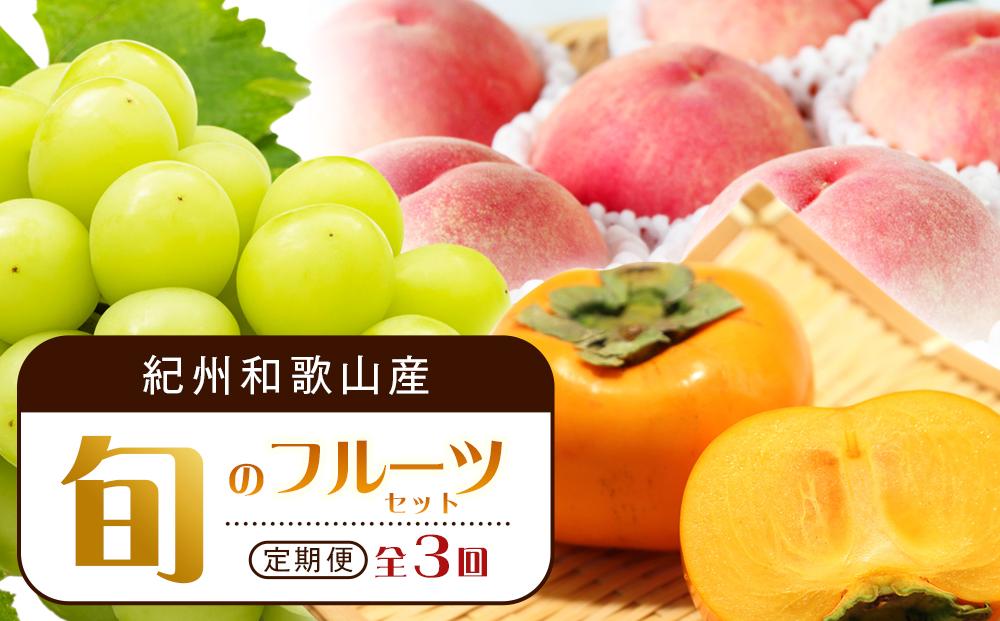 【7・8・10月 全3回】紀州和歌山産旬のフルーツセット（桃・シャイン・ひらたねなし柿）定期便 【魚鶴商店】【UT66】 303446_XF91135