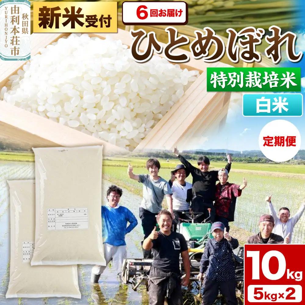 《新米予約》《定期便6ヶ月》令和8年産【白米】特別栽培米 ひとめぼれ 10kg（5kg×2袋）秋田県産 [ひとめぼれ 米 お米 白米 精米 特別栽培米 ブランド米 食卓 秋田県産 秋田県 由利本荘市]
