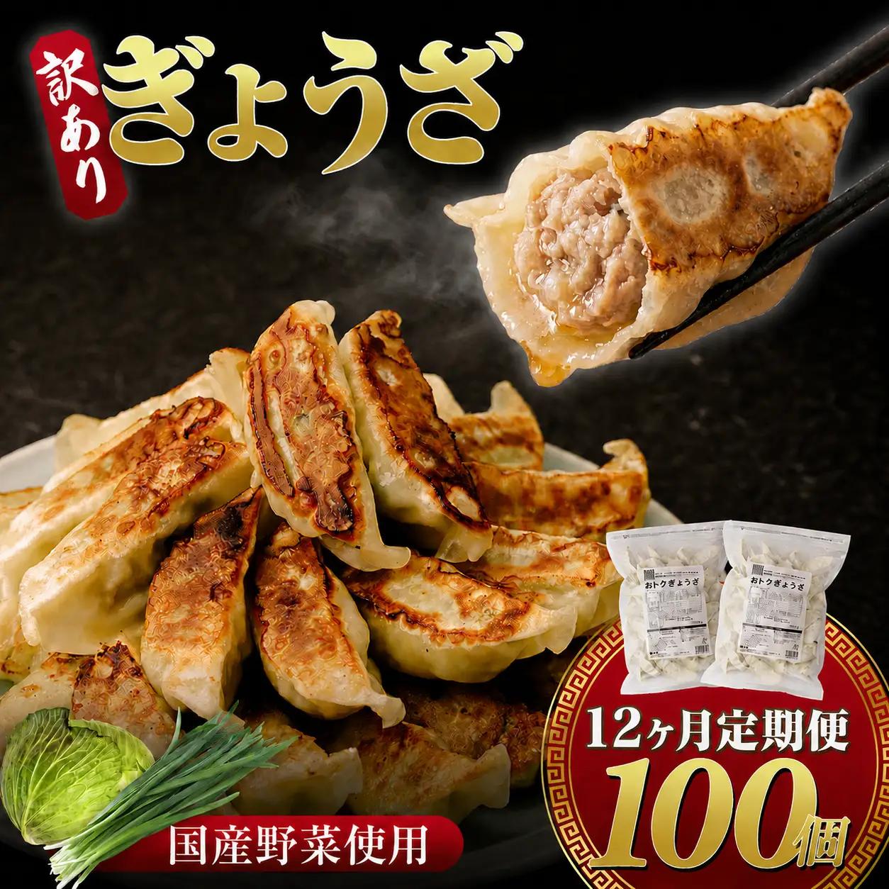 餃子 訳あり 12ヶ月定期便 たっぷり 100個 大容量 冷凍餃子