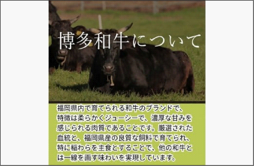 【博多和牛100％使用】お肉屋さんの手ごねジューシー生ハンバーグ 180g×15個