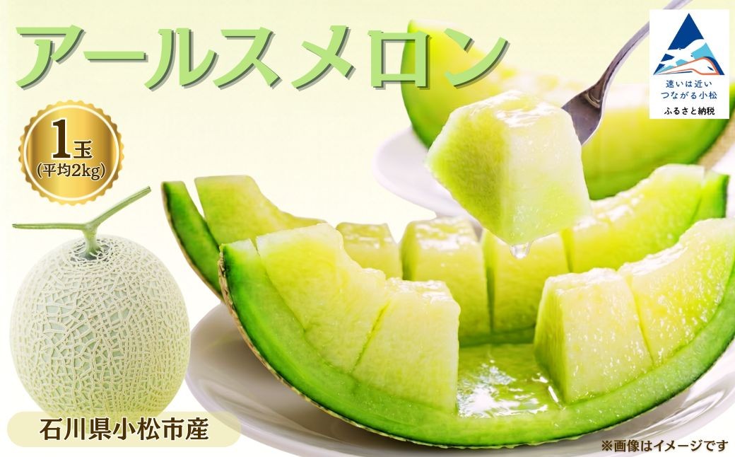 
                  【先行予約】 メロン アールスメロン 1玉 約2kg マスクメロン 果物 フルーツ ギフト 贈答用 名産 特産品 青肉 2キロ | 石川県 小松市 【JAあぐり】
                