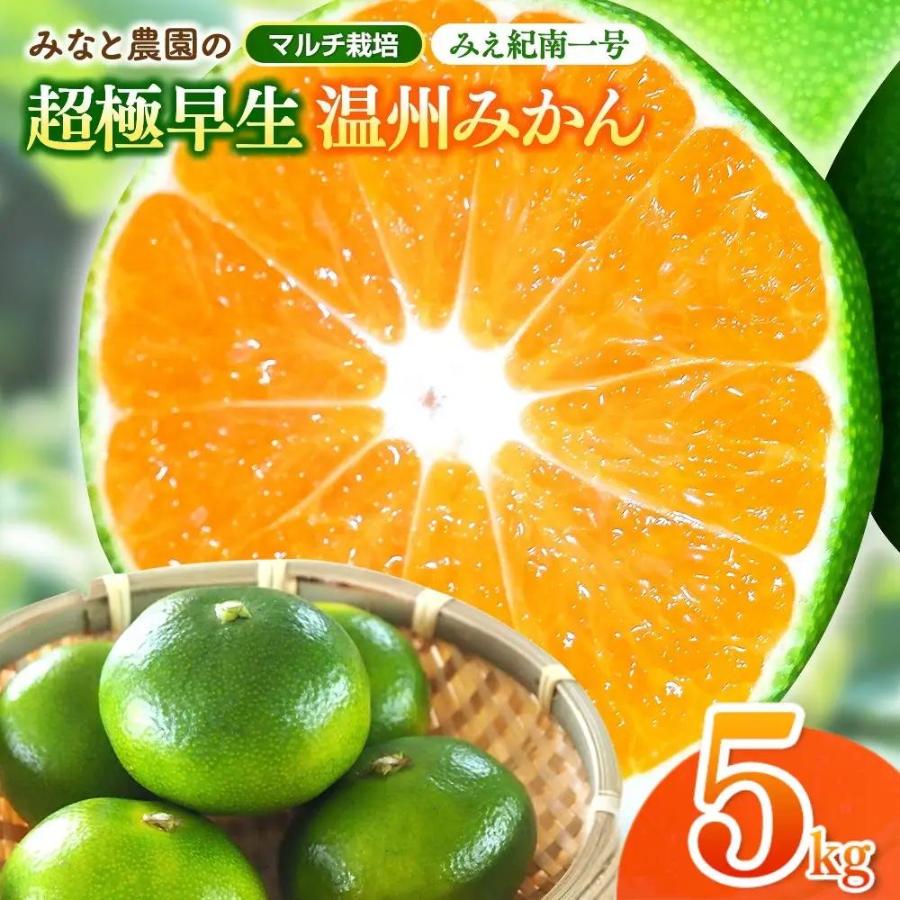 みかん みえ紀南一号 超極早生みかん 約5kg【mntf0001】