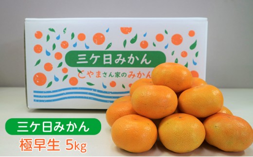
                  【2026年10月下旬より順次発送】三ヶ日みかん（極早生5kg）光センサー選果 デザート 食後 おやつ こだわりマルチ栽培 糖度 10.5 以上 箱詰め 混載 濃厚 冬の味覚 静岡県産 産地直送 ビタミン サイズ混在
                