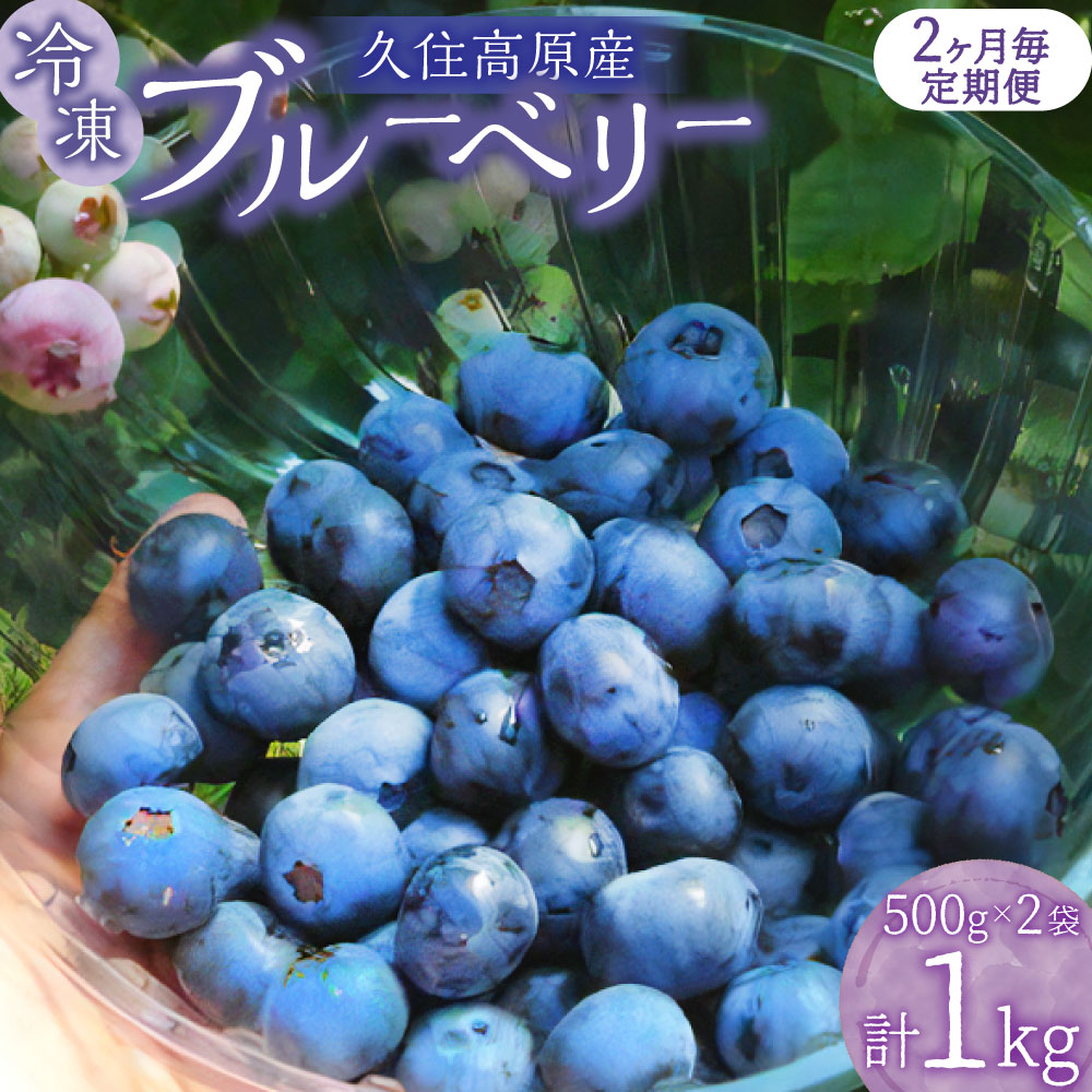 【ふるさと納税】 【選べる定期便】久住高原 冷凍 ブルーベリー 約500g 2袋 計約1kg 小分け 栽培期間中 農薬不使用 手摘み 新鮮 ジャム スムージー ヨーグルト フルーツ 果物 特産品 名産 国産 九州 大分県 竹田市 久住高原産 送料無料【2025年7月下旬より順次発送開始予定】