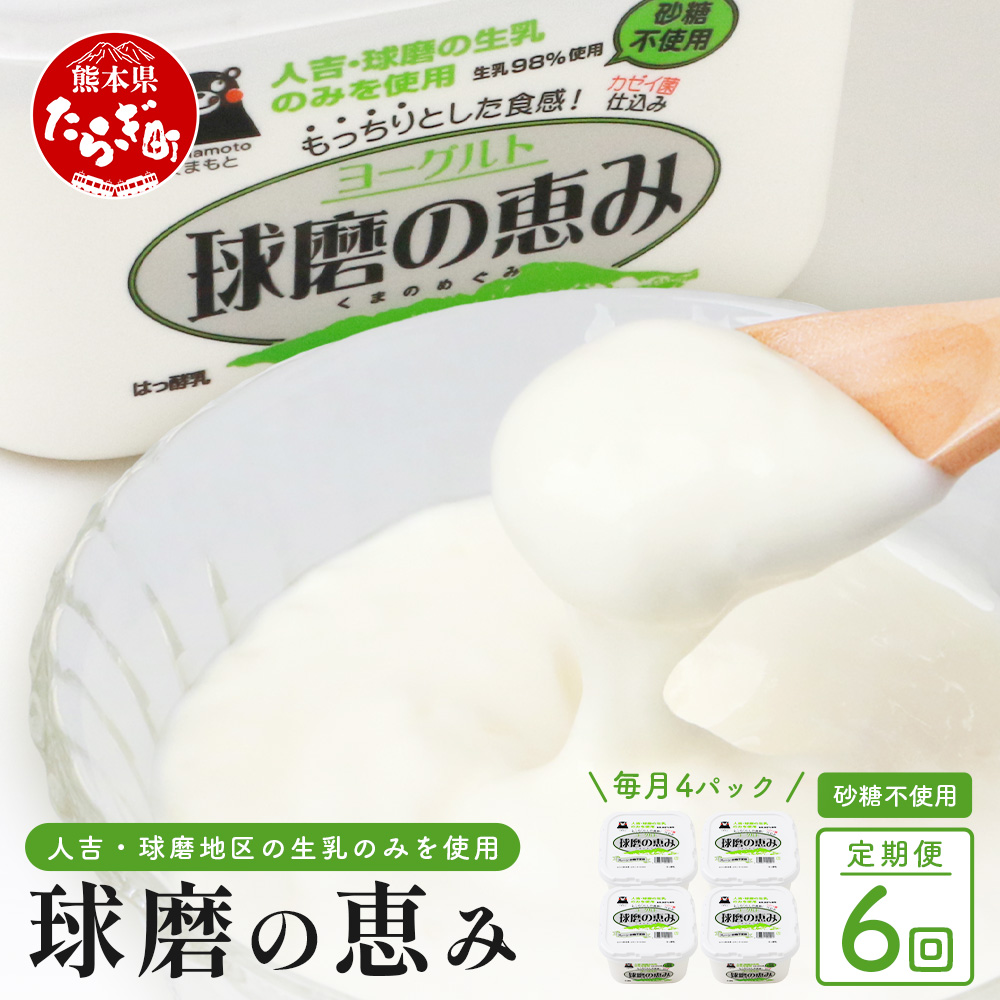 【 定期便D 6回 】球磨の恵み ヨーグルト ≪ 砂糖不使用 ≫ 1000g×4個( 合計4kg )× 6回配送 新鮮 しぼりたて 生乳 使用 とろーり もっちり ほんのり 甘い 無糖 ヨーグルト 食べる ヨーグルト 074-0452