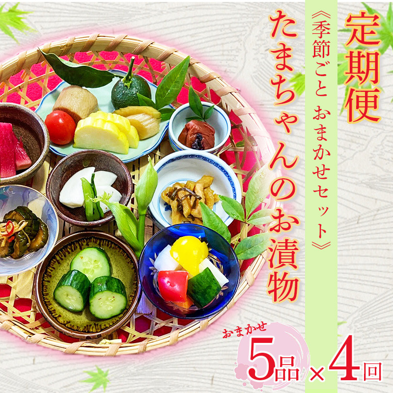 
【価格改定予定】定期便 年4回 漬物 ビール漬 季節野菜 5品 おまかせ沼津 セット 小分け
