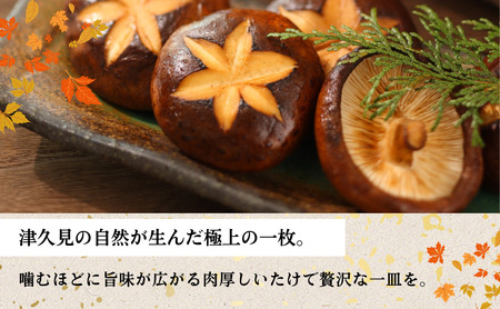 大分県産 しいたけ 津久見で育てた肉厚ステーキ用乾燥しいたけ 20g×4袋