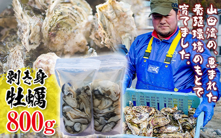 【先行予約】牡蠣 むき身 400g×2パックセット