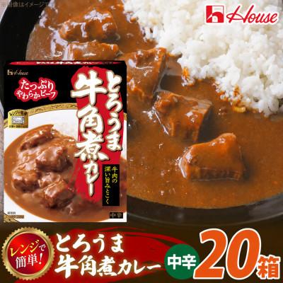 ふるさと納税 江南市 ハウス とろうま牛角煮カレー 中辛 200g ×20個 レトルトカレー レンジ調理対応
