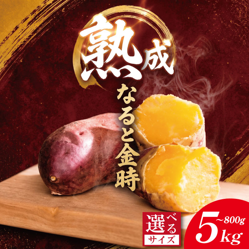 【ふるさと納税】 なると金時 800gから5kg 《どこにも無い 熟成なると金時!》 選べる サイズ 10月から5月末まで発送 野菜 さつまいも 焼き芋 芋 鳴門金時 なると金時 芋棒 食材 新鮮 旬 産地直送 徳島 鳴門