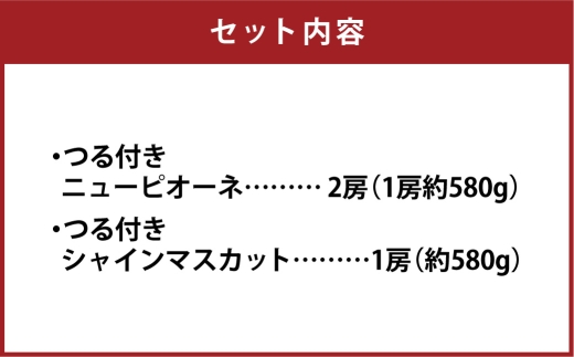 つる付き！ニューピオーネ ＆ 晴王 シャインマスカット Bセット ハウス栽培 ブドウ ぶどう 葡萄 果物 くだもの フルーツ 果実 マスカット 食べ比べ 【 2026年7月上旬～8月上旬発送予定 】