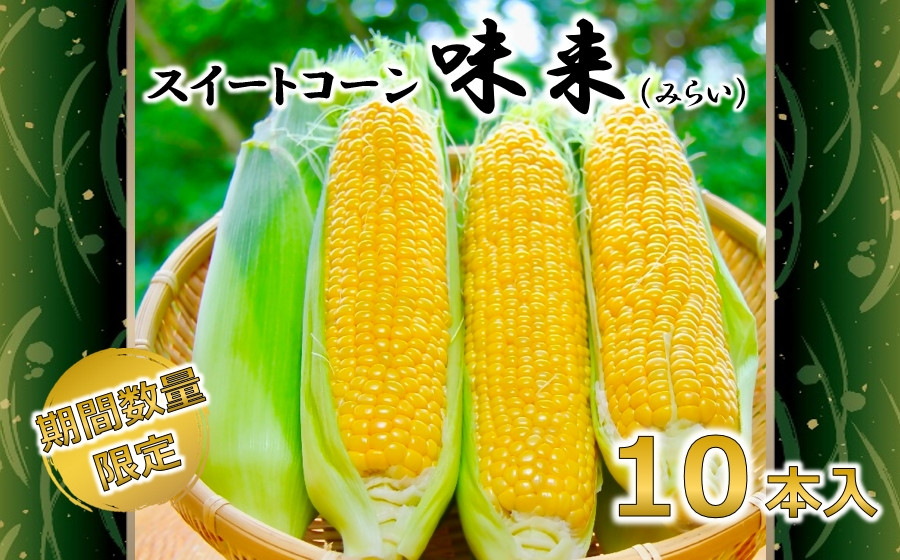 
とうもろこし味来(みらい) 10本入 スイートコーン 数量限定 宮城県村田町産【1232977】
