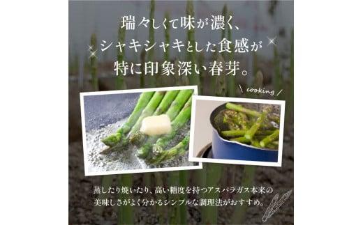 訳あり 柔らかさと甘みが際立つ さぬきのめざめ春芽 約1.2kg【2025-3月上旬～2025-4月下旬配送】