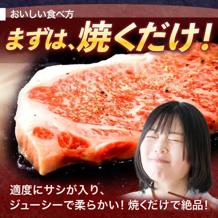 長崎和牛サーロインステーキ500g(250g×2枚)[OCE045]サーロイン ステーキ