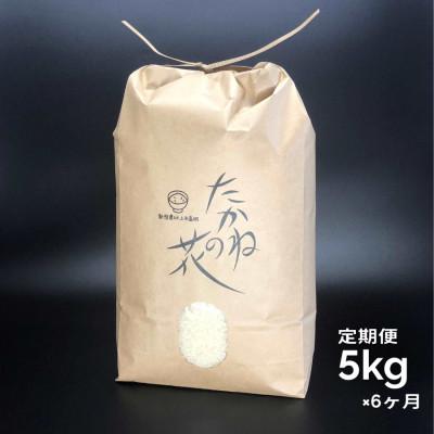 ふるさと納税 村上市 【毎月定期便】新潟県村上市岩船産 棚田米コシヒカリ　たかねの花 精米5kg　004全6回