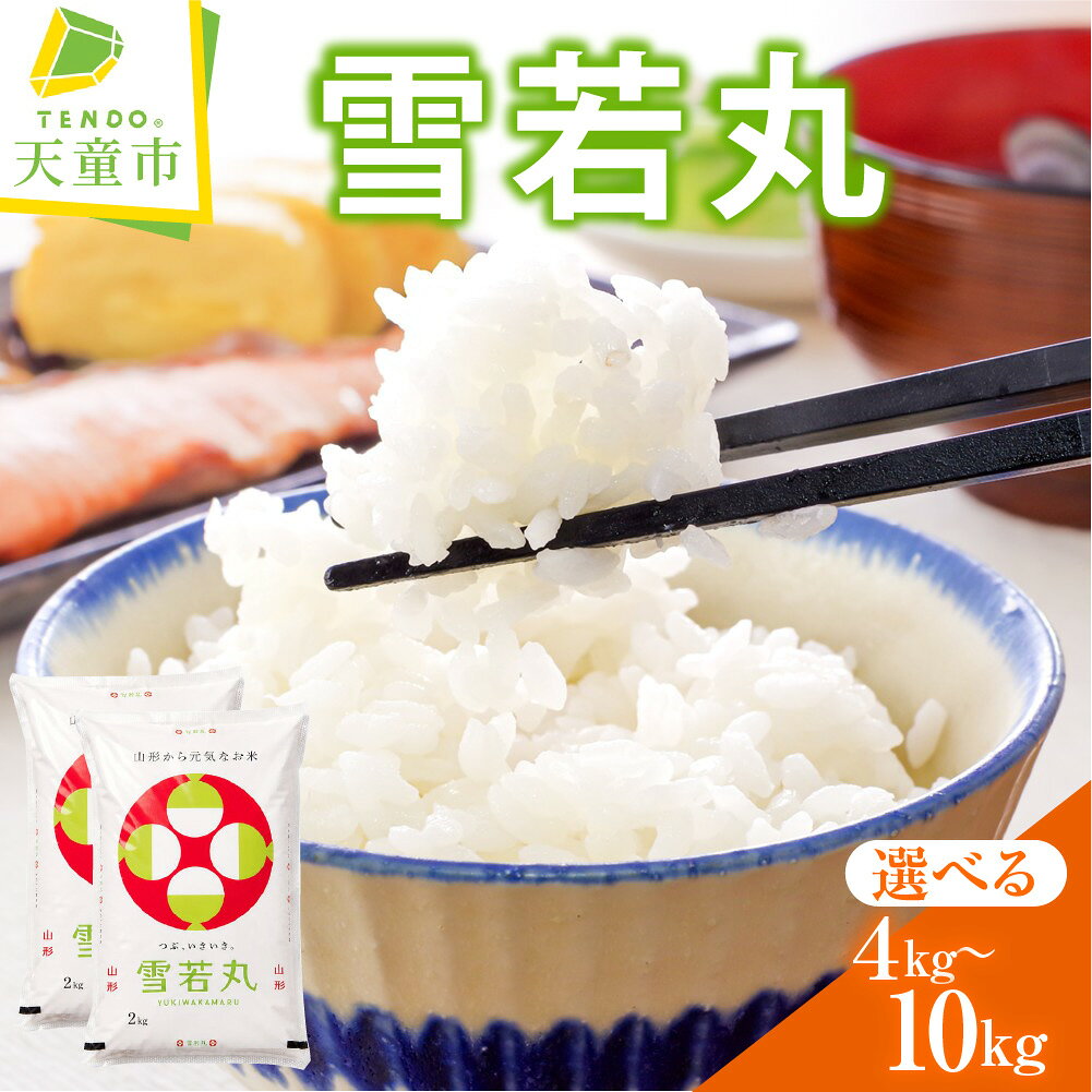 【ふるさと納税】 ＼新米登場／ 雪若丸 選べる 4kg / 5kg / 10kg 令和7年産 令和8年産 新米 先行予約 米 小分け 袋 便利 おすそ分け こめ おこめ 精米 ブランド米 ごはん 白米 おにぎり 弁当 お試し 高評価 人気 おすすめ 大容量 お取り寄せ 産地直送 送料無料 山形県 天童市