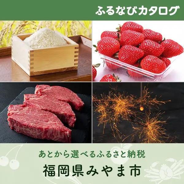 【有効期限なし！後からゆっくり特産品を選べる】福岡県みやま市カタログポイント