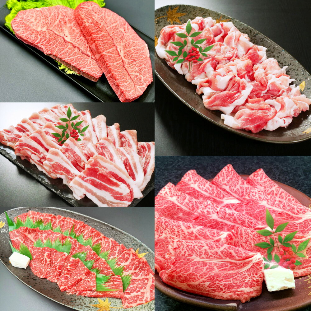 【ふるさと納税】【5ヶ月定期便】5ヶ月で食べ比べ！ 大分県 食べ比べ セット 合計2.6kg 牛肉 豚肉 肉 お肉 和牛 和豚 国産牛 国産豚 4等級以上 お楽しみ 食べ比べ ごちそう 大分県産 竹田市 送料無料