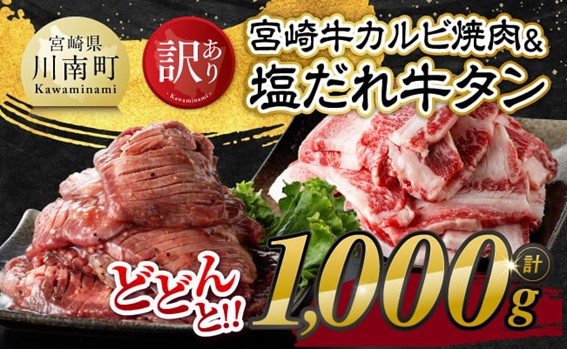 【訳あり】 宮崎牛カルビ焼肉＆塩だれ牛タン　計1,000g 【 肉 宮崎牛 カルビ 牛肉 牛たん たん 厚切り 塩ダレ 塩だれ タン 味付き BBQ 焼肉 焼き肉 焼くだけ おかず 簡単調理 】[E11148]