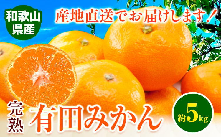 
みかん 完熟有田みかん 約 5kg 有田マルシェ《2024年11月下旬-1月中旬頃出荷予定》 和歌山県 日高町 みかん 有田 みかん 柑橘 フルーツ 完熟 ミカン 蜜柑 送料無料
