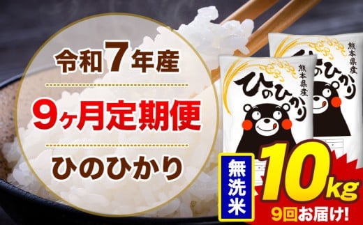 【9ヶ月定期便】米 令和7年産 ひのひかり 無洗米 定期便 10kg 《お申込み翌月から出荷》熊本県 菊池市 国産 熊本県産 無洗米 精米 送料無料 ヒノヒカリ こめ お米