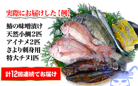 ［頒布会12回］瀬戸内海産の海産物の詰め合わせ（下処理アリ）
