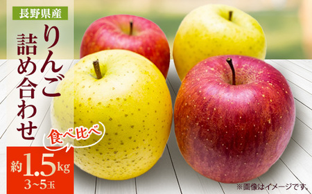 【2025年発送】 りんご サンふじ＆シナノゴールド 詰め合わせ 約1.5kg(3～5玉程度)【1577879】