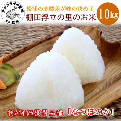 松浦の寒暖差が味の決め手!特A評価獲得の品種「なつほのか」棚田浮立の里のお米10kg【1241313】