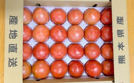 麗妃トマト（栽培自慢） 約4kg 【2025年12月上旬発送開始】 野菜 やさい とまと トマト 熊本県産 国産