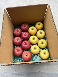 【先行受付】サンふじ・シナノゴールド詰め合わせ　5kg