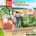 【ふるさと納税】【全3回定期便】諫早産野菜の詰め合わせ 8〜9品目程度 / 季節 旬 野菜 やさい 春野菜 夏野菜 秋野菜 野菜セット 詰め合わせ 野菜定期 野菜定期便 定期便 / 諫早市 / 肥前グローカル株式会社 [AHDI001]