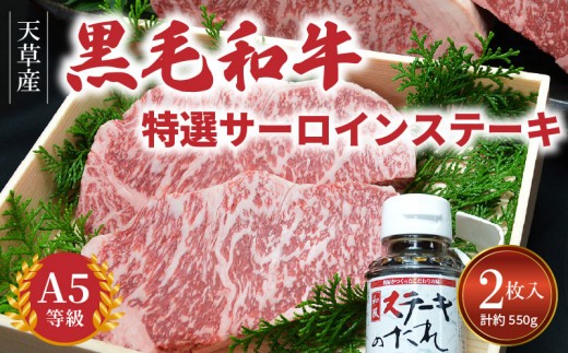 
            【年内配送可】天草産 黒毛和牛 A5等級 特選サーロインステーキ 2枚_S001-015
          