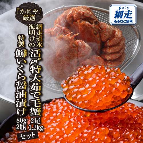 かにやの厳選網走流氷海明けの「活〆特大茹で毛蟹2尾で1.2kg」と「特製鱒いくら醤油漬け80g×2瓶」セット ABAO128