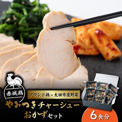 ふるさと納税 太田市 赤城鶏やみつきチャーシュー おかずセット×6食分