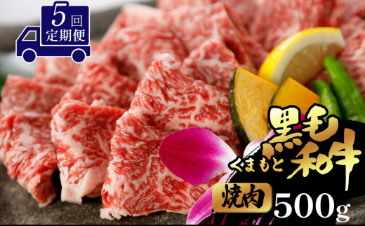 
【定期便5回】くまもと黒毛和牛 焼肉用 500g
