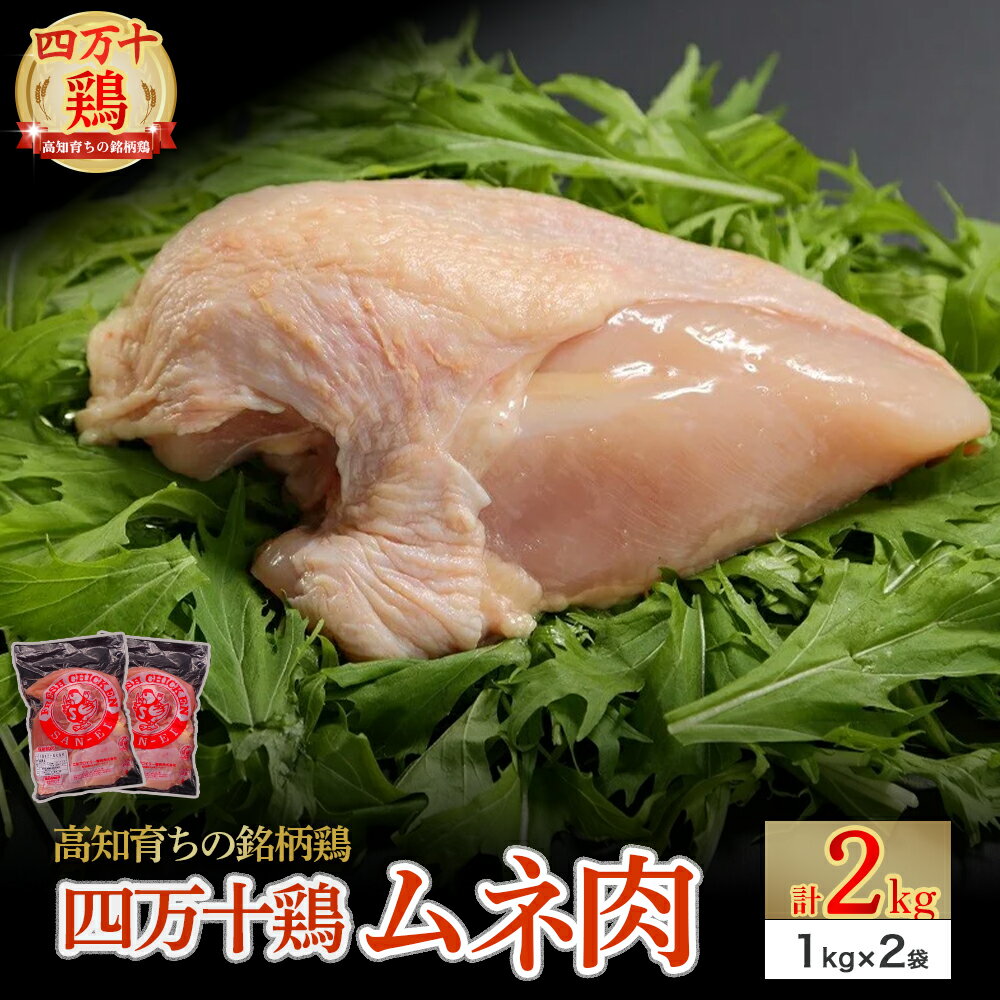 ★高知育ちの銘柄鶏　四万十鶏★　むね肉　2kg