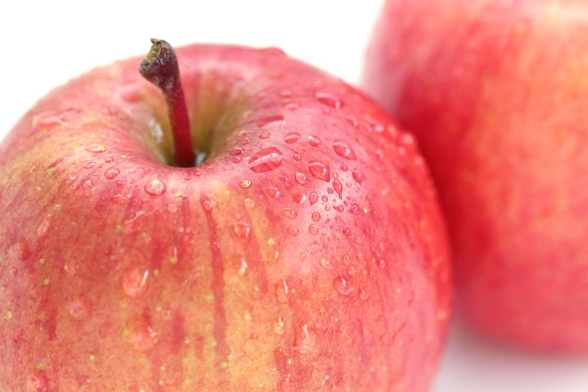 【2026年3月中旬発送】【特選】りんご 約3kg サンふじ 青森 五所川原