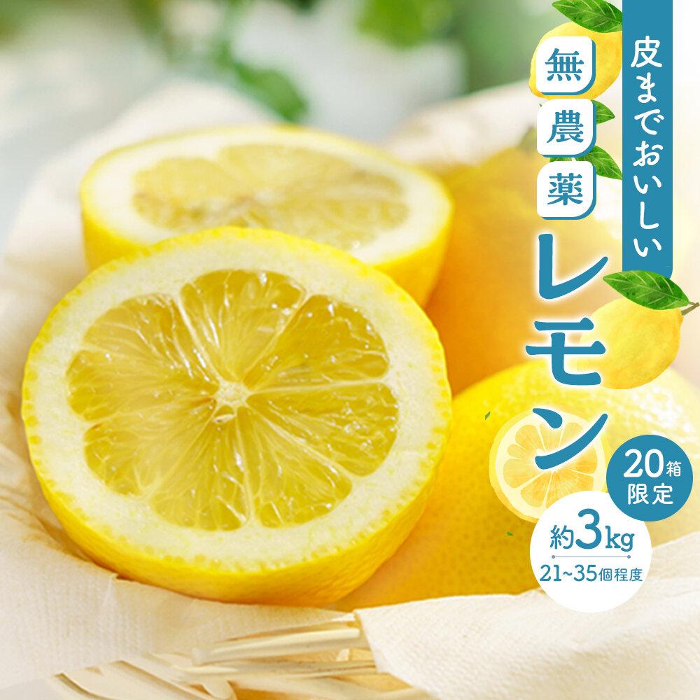 【ふるさと納税】皮まで美味しい無農薬レモン 約3kg | 瀬戸田 瀬戸田レモン 檸檬 瀬戸内レモン フルーツ 柑橘 シトラス 無農薬 有機肥料 防腐剤不使用 レモネード はちみつ 尾道市 広島