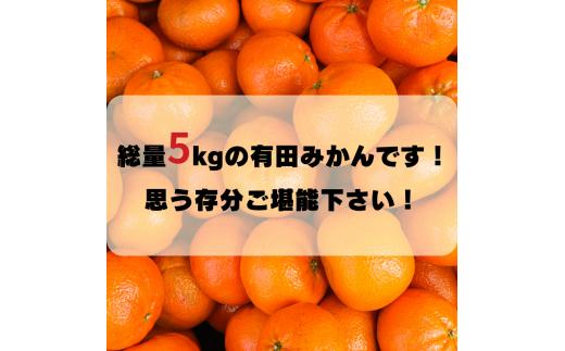 【訳あり】農家直送 有田みかん約5kg ご家庭用 サイズ混合 ※2025年11月中旬から2026年1月中旬までに順次発送予定（お届け日指定不可）※北海道・沖縄・離島への配送不可　訳ありみかん 温州みか