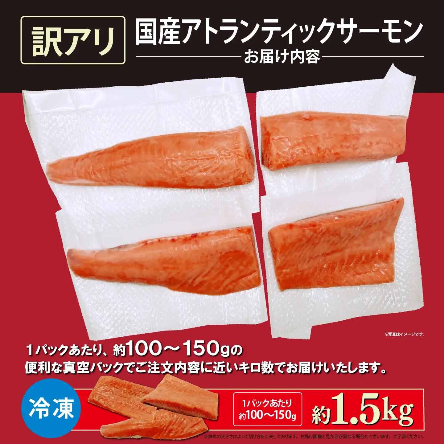 サーモン 訳あり 約1.5kg 国産サーモン
