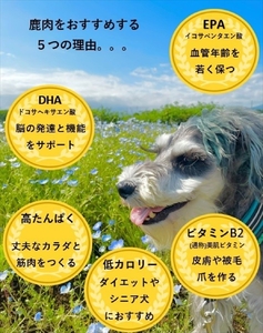 犬 おやつ ジャーキー ワンコ用 無添加鹿肉ジャーキー（モモ２個・カタ２個・スネ１個）　計５個セット【 犬 いぬ イヌ ペット ペット用 無添加 鹿肉 鹿 しかにく ジャーキー じゃーきー おやつ 犬