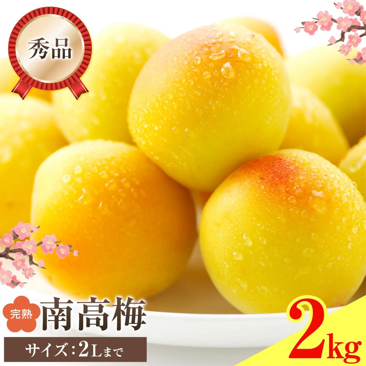 紀州南高梅 秀品(完熟) 2L 2kg 農業福祉研究機構《6月下旬-7月上旬頃出荷》